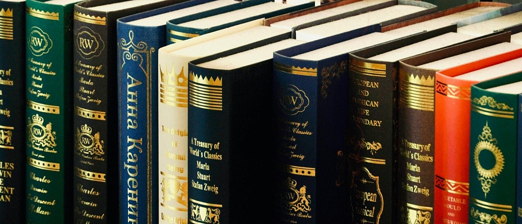 maloizvestnye-knigi-izvestnyh-avtorov-remark-dyumor-e-voynich