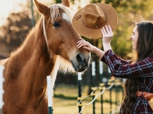 top-5-horseback-riding-clubs-and-hippodromes-in-shymkent
