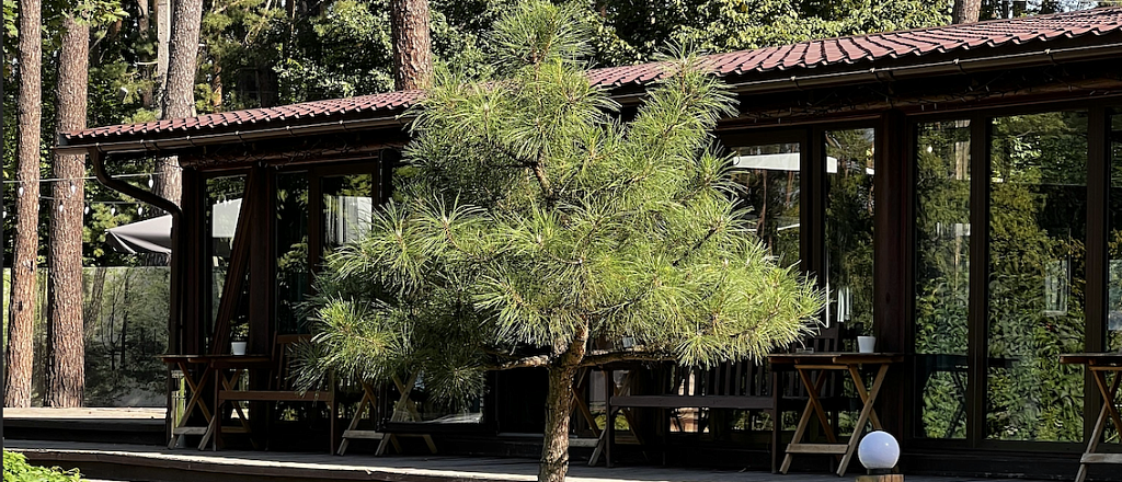 kuda-poehat-na-mayskie-iz-semeya-10-baz-otdyha-domikov-i-lesnyh-eko-lokaciy