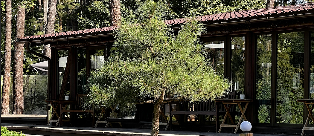 Куда поехать на майские из Семея: 10 баз отдыха, домиков и лесных эко-локаций