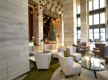 10-oteley-s-samymi-stil-nymi-lobbi-i-zimnimi-terrasami-v-astane