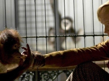 10-fil-mov-i-serialov-o-nauke-otkrytiyah-i-tehnologiyah-kotorye-stoit-posmotret-pered-pro-nrg-fest-v-astane