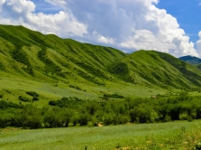 skol-ko-budet-vyhodnyh-v-iyule-2025-u-zhiteley-kazahstana