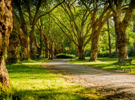 v-gorode-osh-nachalos-stroitel-stvo-novyh-parkov