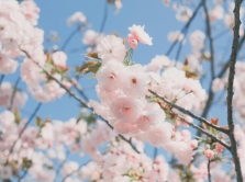 skol-ko-dney-otdohnut-uzbekistancy-v-marte-v-2026-godu