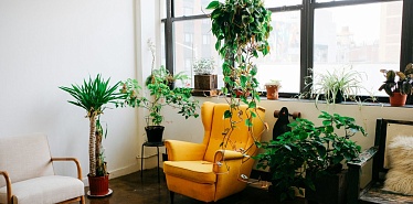 Креативный Актобе: 7 лучших локаций для досуга, работы и встреч с друзьями