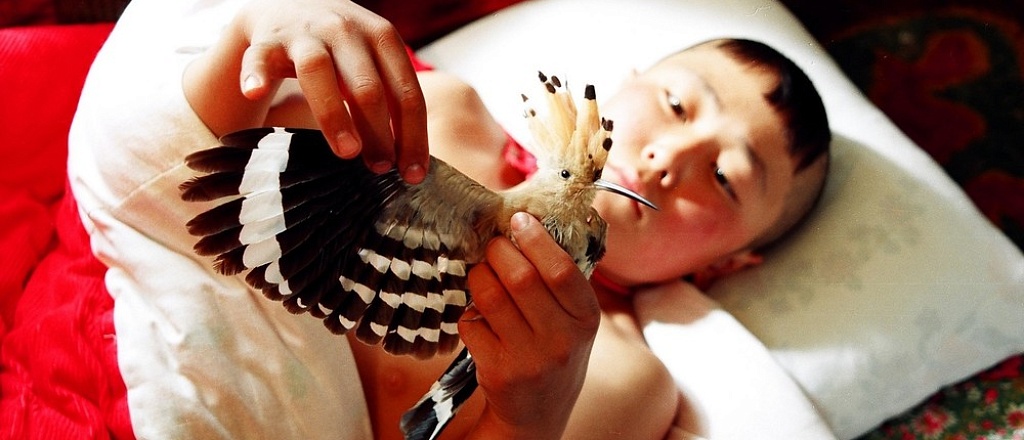 kyrgyzskiy-fil-m-beshkempir-voshel-v-spisok-100-luchshih-aziatskih-kartin-po-versii-pusanskogo-kinofestivalya