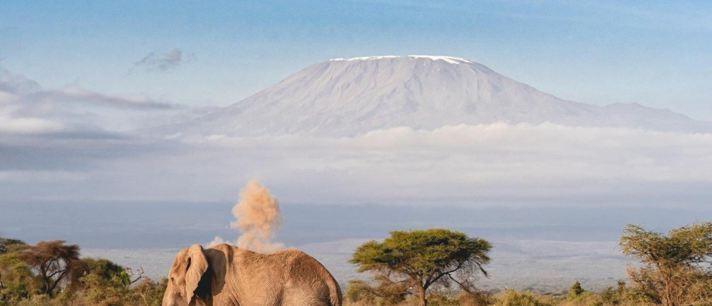 flag-vsemirnyh-igr-kochevnikov-podnyat-na-vershine-kilimandzharo