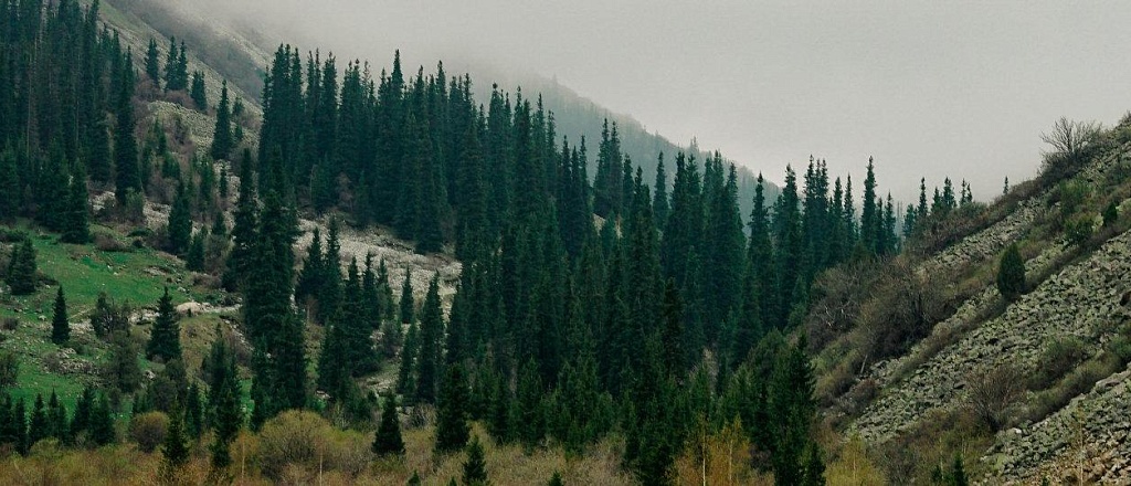 10-must-visit-parks-and-gardens-in-bishkek-kyrgyzstan