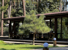 kuda-poehat-na-mayskie-iz-semeya-10-baz-otdyha-domikov-i-lesnyh-eko-lokaciy