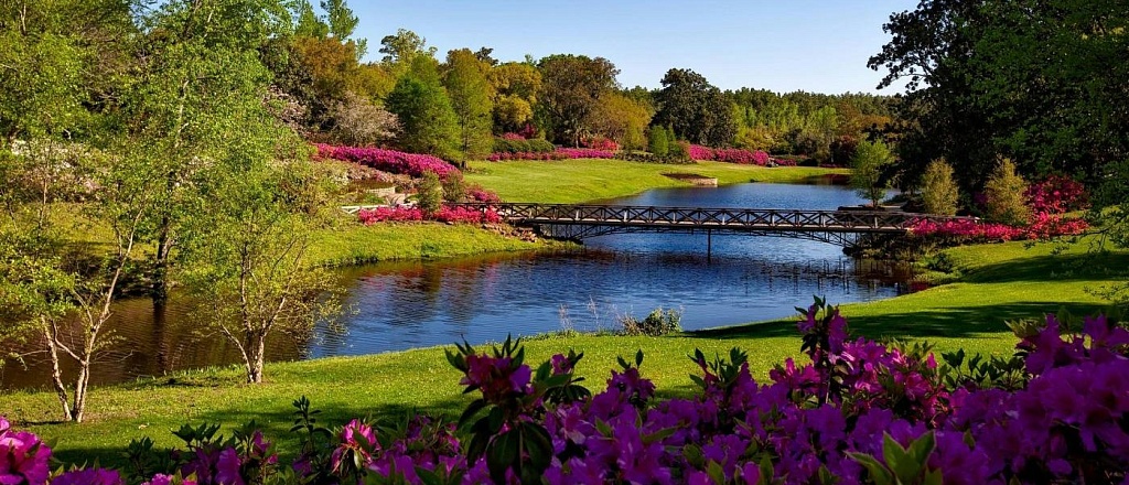 v-oshe-rasshiryat-park-imeni-navoi-na-meste-starogo-rynka