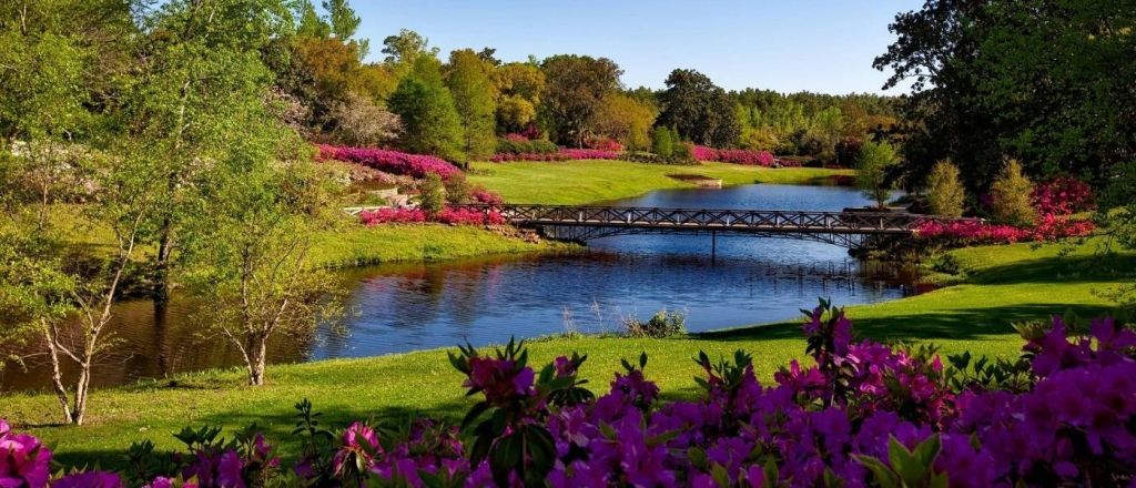 v-oshe-rasshiryat-park-imeni-navoi-na-meste-starogo-rynka