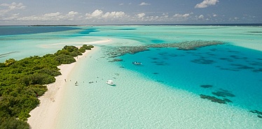 Which tour operator to choose in Tashkent: 7 options for your trip