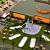 preview-image