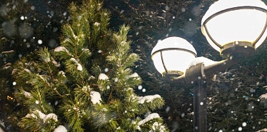 What to do in Bukhara in winter: ideas for an engaging experience
