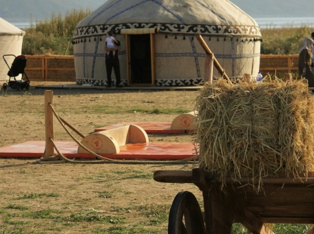 etnoaul-poyavitsya-v-semee