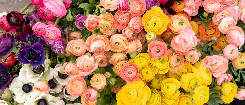 gde-nayti-ideal-nyy-buket-v-aktobe-10-luchshih-cvetochnyh-magazinov