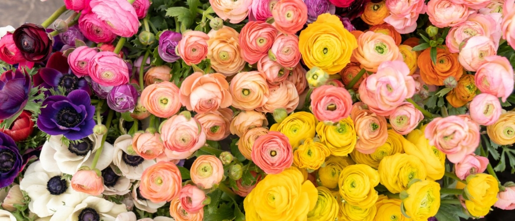 gde-nayti-ideal-nyy-buket-v-aktobe-10-luchshih-cvetochnyh-magazinov