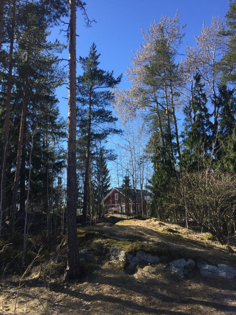 Экологичный образ жизни в Финляндии: лес в городе, безотходная кухня и электрокары