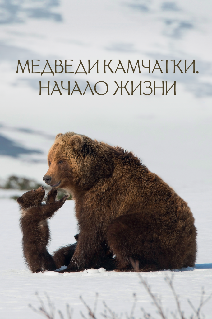Медведи Камчатки_iTunes_poster_RUS.png