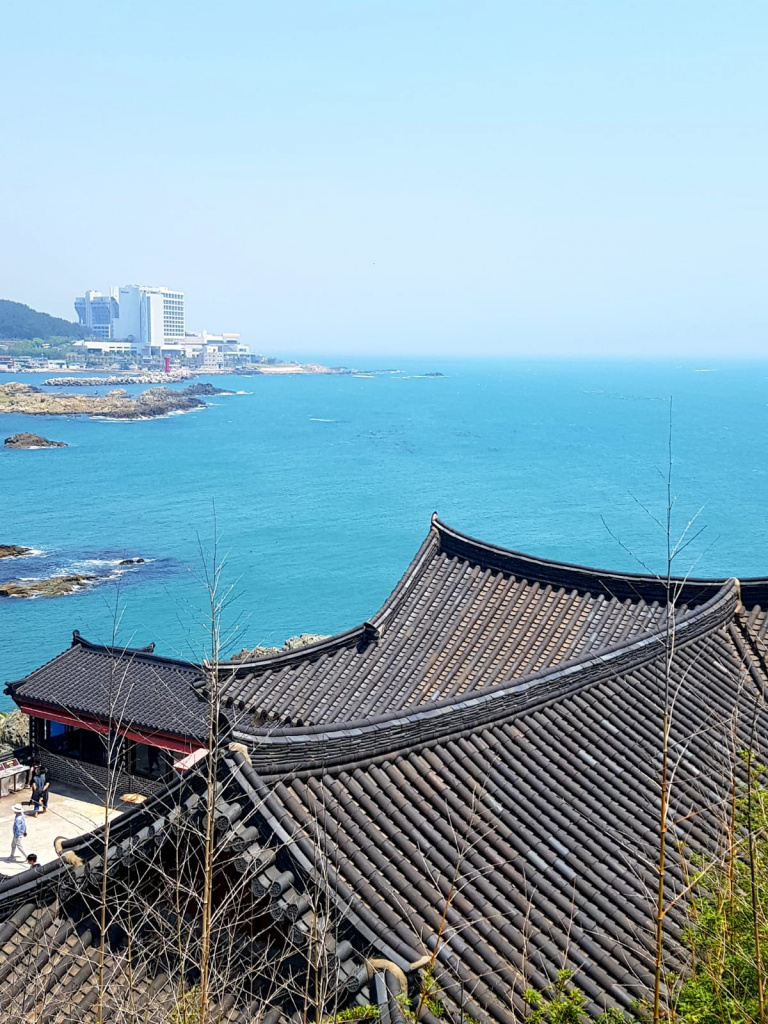 Что удивляет наших в Китае, Корее и Японии: отсутствие чаевых и отпусков и корейские праздники